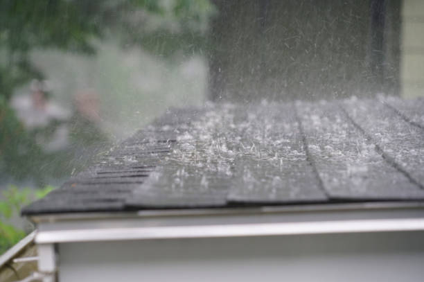 Best Storm Damage Roof Repair  in Detroit Lakes, MN